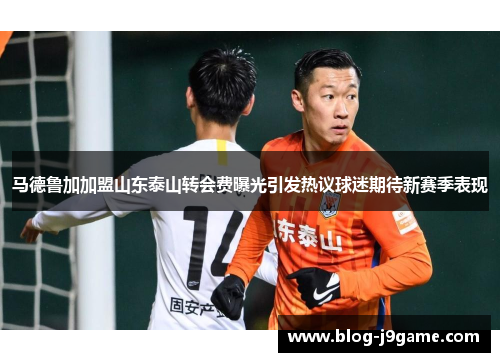 马德鲁加加盟山东泰山转会费曝光引发热议球迷期待新赛季表现 马德鲁加加盟山东泰山转会费曝光引发热议球迷期待新赛季表现